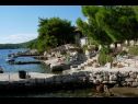 Apartamenty Mari - amazing sea view: A1(4), A2(4) Zatoka Karbuni (Blato) - Wyspa Korcula  - Chorwacja  - plaża