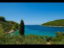 Dom wakacyjny Vers - 35m from the sea: H(4+2) Zatoka Picena (Vela Luka) - Wyspa Korcula  - Chorwacja  - widok