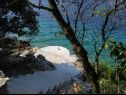Dom wakacyjny Vers - 35m from the sea: H(4+2) Zatoka Picena (Vela Luka) - Wyspa Korcula  - Chorwacja  - plaża