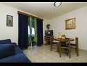 Apartamenty Dijana - 20m from the sea A1 Antica(4+1), A2 Diana(2+1), A3 Mirela(2+1) Prigradica - Wyspa Korcula  - Apartament - A2 Diana(2+1): pokój dzienny