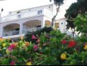 Apartamenty Dijana - 20m from the sea A1 Antica(4+1), A2 Diana(2+1), A3 Mirela(2+1) Prigradica - Wyspa Korcula  - dom