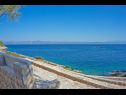 Dom wakacyjny Doria - perfect location & peaceful: H(3+1) Zatoka Stiniva (Vela Luka) - Wyspa Korcula  - Chorwacja  - detal