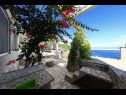 Dom wakacyjny Doria - perfect location & peaceful: H(3+1) Zatoka Stiniva (Vela Luka) - Wyspa Korcula  - Chorwacja  - dziedziniec