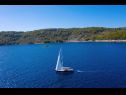 Dom wakacyjny Doria - perfect location & peaceful: H(3+1) Zatoka Stiniva (Vela Luka) - Wyspa Korcula  - Chorwacja  - detal