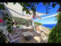 Dom wakacyjny Doria - perfect location & peaceful: H(3+1) Zatoka Stiniva (Vela Luka) - Wyspa Korcula  - Chorwacja  - dom