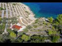 Dom wakacyjny Doria - perfect location & peaceful: H(3+1) Zatoka Stiniva (Vela Luka) - Wyspa Korcula  - Chorwacja  - roślinność (dom i otoczenie)
