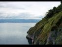 Dom wakacyjny Bernardica - on cliffs above sea: H(6+2) Vrbnik - Wyspa Krk  - Chorwacja  - roślinność