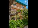 Apartamenty Giuseppe - green terrace: A1(4) Mali Losinj - Wyspa Losinj  - dom