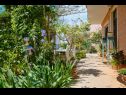 Apartamenty Giuseppe - green terrace: A1(4) Mali Losinj - Wyspa Losinj  - dziedziniec