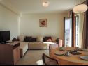 Apartamenty Smilja - 150 m from pebble beach: A1(2+2), A2(2+1), SA3(2) Baska Voda - Riwiera Makarska  - Apartament - A1(2+2): pokój dzienny
