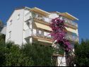 Apartamenty Kate - 20m from the beach: A1(2+2), A2(2+2) Brist - Riwiera Makarska  - dom