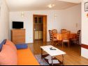 Apartamenty Biljana - 150m from beach: A1(2+1), A2(2+2), A3(5), A4(2+2) Gradac - Riwiera Makarska  - Apartament - A4(2+2): pokój dzienny