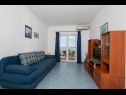 Apartamenty Ruzica - with sea view: A1 - plavi(3+2), A2 - (2+2), A3 - zuti(3+2) Igrane - Riwiera Makarska  - Apartament - A1 - plavi(3+2): pokój dzienny