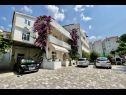Apartamenty Denis - great location & large terrace: A1(5) Makarska - Riwiera Makarska  - dom