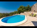 Dom wakacyjny Stone - pool house: H(4) Babino Polje - Wyspa Mljet  - Chorwacja  - basen (dom i otoczenie)