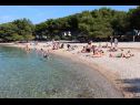 Dom wakacyjny Ante - close to the sea: H(8+2) Tisno - Wyspa Murter  - Chorwacja  - plaża