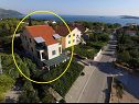 Apartamenty Ivo - 400 m from sea: SA1(2), SA2(2), A3(5+1), A4(2+1), A5(2+1), A6(3), A7(4+1), A8(4+1) Orebic - Półwysep Peljesac  - dom