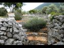 Dom wakacyjny Sage - rustic dalmatian peace H(2+1) Trpanj - Półwysep Peljesac  - Chorwacja  - detal