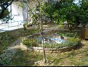 Apartamenty Ren - 150 m from beach: A3(2+1) Kampor - Wyspa Rab  - dziedziniec