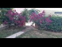 Apartamenty Robi- swimming pool and beautiful garden A1-žuti(5), A2-crveni(5), A3(3+1) Kampor - Wyspa Rab  - kwiaty