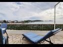 Apartamenty Ziva - by the beach; A1(6), A2(4), A3 (2+1) Zatoka Lozica (Rogoznica) - Riwiera Sibenik  - Chorwacja  - Apartament - A2(4): tarasa