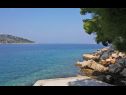 Apartamenty Primo - sea view: A1(2+1), A2(4), A3(4), A4(3+1) Zatoka Banje (Rogac) - Wyspa Solta  - Chorwacja  - plaża