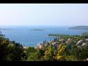 Dom wakacyjny Sunce - relaxing & quiet: H(2+2) Maslinica - Wyspa Solta  - Chorwacja  - detal