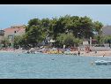 Apartamenty Jurica - 100 m from sea: A1(4+2), SA2(2), A3(2+2) Kastel Novi - Riwiera Split  - plaża