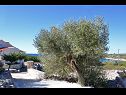 Dom wakacyjny Željko - sea view H(4+2) Drvenik Mali (Wyspa Drvenik Mali) - Riwiera Trogir  - Chorwacja  - detal (dom i otoczenie)