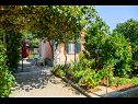 Dom wakacyjny Mirjana - beautiful garden with barbecue: H(4+1) Trogir - Riwiera Trogir  - Chorwacja  - ogród