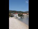 Dom wakacyjny Dinko - 20 m from sea: H(4+1) Vinisce - Riwiera Trogir  - Chorwacja  - plaża