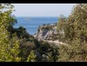 Dom wakacyjny Villa Vinko - with four rooms: H(8) Zatoka Voluja (Vinisce) - Riwiera Trogir  - Chorwacja  - roślinność (dom i otoczenie)