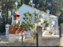 Dom wakacyjny VEKY - 50m from sea: Holiday House H(4+2) Susica - Wyspa Ugljan  - Chorwacja  - dom