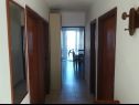 Apartamenty Igi - in the beach camp: A1 Porat (6), A2 Porat(6) Susica - Wyspa Ugljan  - Apartament - A1 Porat (6): korytarz