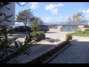 Apartamenty Blue Skies - 30 m from the sea: A1(4+1), A2(2+2), SA3(2+1) Ljubac - Riwiera Zadar  - dziedziniec