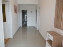 Apartamenty Ivo - 500 m to sandy beach: A1(2+2), A2(6+2), SA3(2+1) Ljubac - Riwiera Zadar  - Apartament - A2(6+2): korytarz