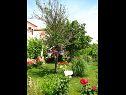 Apartamenty Nika - nice garden: A1(2), A2(4+1), A3(6), A4(2) Nin - Riwiera Zadar  - ogród (dom i otoczenie)