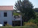 Apartamenty Duskica - close to the sea: A1(4+1) Petrcane - Riwiera Zadar  - dom
