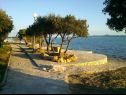 Apartamenty Mis - apartments close to sea: A1(4), A2(4) Petrcane - Riwiera Zadar  - plaża