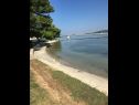 Apartamenty Andy - only 50 m from beach: A1(3+1), A2(2+1), SA1(2) Sukosan - Riwiera Zadar  - plaża