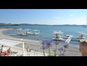 Apartamenty Martina - 300 m from sea: A1(2+2), A2(2+2) Sukosan - Riwiera Zadar  - plaża