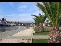 Apartamenty Let - 5 m from sea : A1(4), A4(4) Sukosan - Riwiera Zadar  - detal