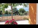 Dom wakacyjny Anamaria - sea and mountain view: H(3+2) Vinjerac - Riwiera Zadar  - Chorwacja  - dziedziniec