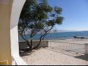 Apartamenty Stjepan- 10 m from beach A1 prizemlje desno(2+2), A2 prizemlje lijevo(2+2), A3 1.kat lijevo(2+2) Vir - Riwiera Zadar  - Apartament - A1 prizemlje desno(2+2): widok na morze