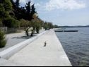 Apartamenty Franka - 70 m from sea: A1(6) Zadar - Riwiera Zadar  - detal