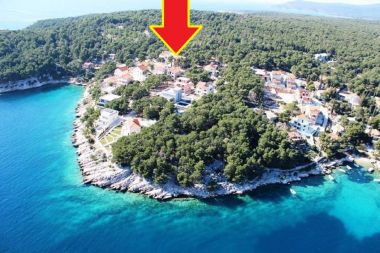 Apartamenty Deni - 70m from beach: A1(4+1) Zatoka Osibova (Milna) - Wyspa Brac  - Chorwacja 