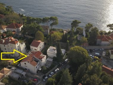 Apartamenty i pokoje Andri - 100m from sea: A1 Andrea(2+2), A2 Nika(2) Dubrownik - Riwiera Dubrownik 