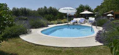 Dom wakacyjny Gurianum - with pool: H(8) Vodnjan - Istria  - Chorwacja 