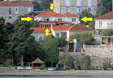 Apartamenty Vedro - 50 m from sea: 1- Red(4), 2 - Purple(2+1), 3 - Blue(2), 4 - Green(2+2) Korcula - Wyspa Korcula 