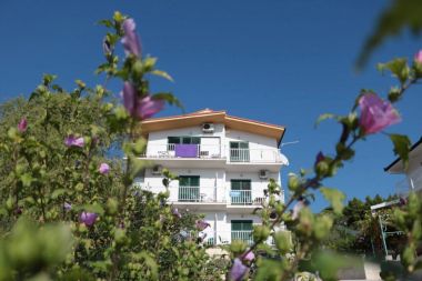 Apartamenty Gloria - 5 min to the beach : SA1(3+1), SA2(3), SA3(3), SA4(4), SA5(3), SA6(3), SA7(2), A8(6+4) Gradac - Riwiera Makarska 